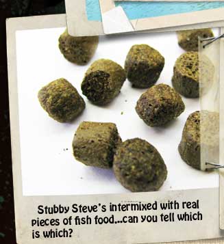 Stubby Steve's mixed with real fish food