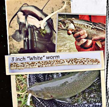 3 inch "White" worms catching catfish and trout...