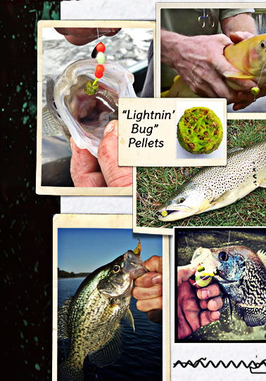 "Lightnin' Bug" pellets catching golden trout, rainbow trout and crappie....