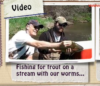 VIDEO - A nice Rainbow Trout caught with LIGHTNIN' BUG "Fish Food Worm"....