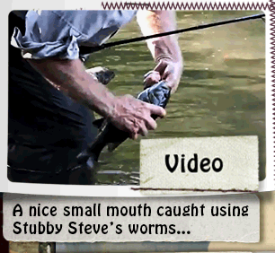 VIDEO - Stream fishing for smallmouth bass and trout using our "Fish Food Worms"...