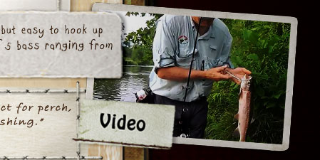 VIDEO - Using our "Fish Food Worms" to catch Trout while stream fishing...