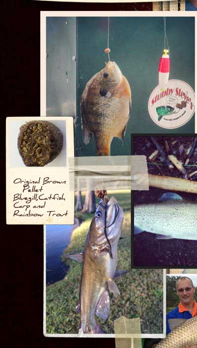 Original brown pellet caught a bluegill, catfish and rainbow trout